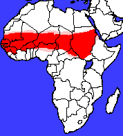 Mapka přirozeného výskytu želv ostruhatých.