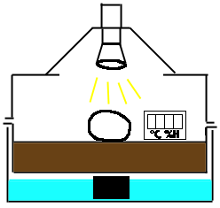 incubator drawing